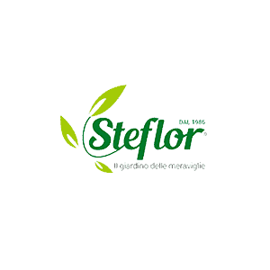 logo steflor
